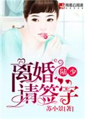 陆总裁离婚请签字完结篇