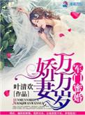 军门宠婚重生娇妻火辣辣