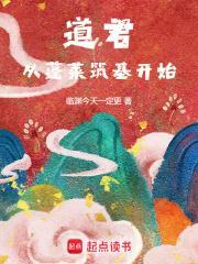 曾有宗主