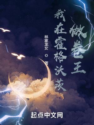 我在霍格沃茨做卷王免费阅读