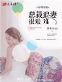 高冷总裁追妻记