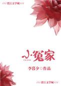 小冤家电视剧免费观看全集