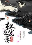 权臣宠妻手册全文阅读