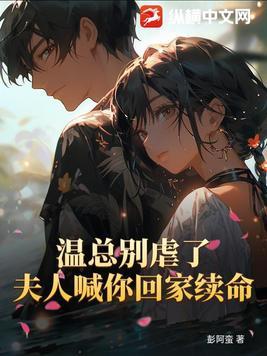 夫人别闹