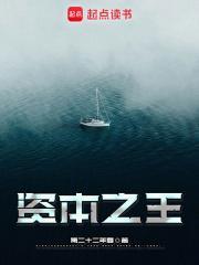 资本之王无防盗免费阅读