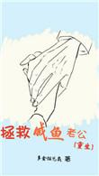 拯救咸鱼老公重生好看吗