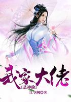 我家大佬是神偷漫画全集