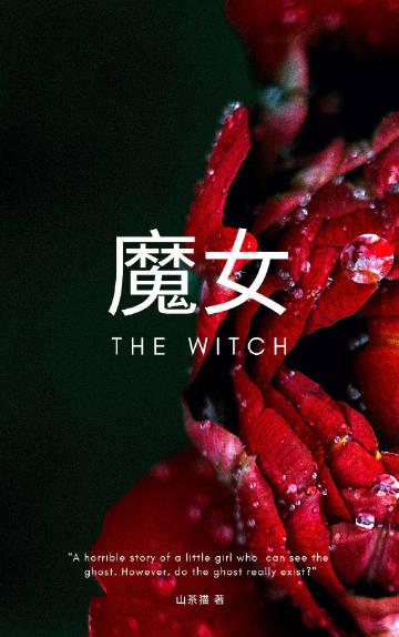 修女苏菲与魔女的诅咒