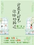 你恰好路过是什么歌