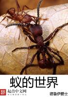 蚁的世界好看吗