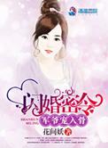 闪婚密令军爷悠着点儿txt