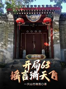 四合院怎么了