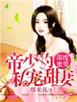 深度蜜爱帝少的私宠甜妻全文免费阅读