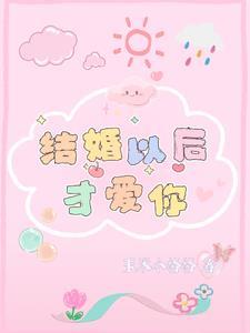 林先生追妻超给力