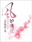 风渡桃花短剧全集免费观看