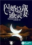闪婚总裁宠上天