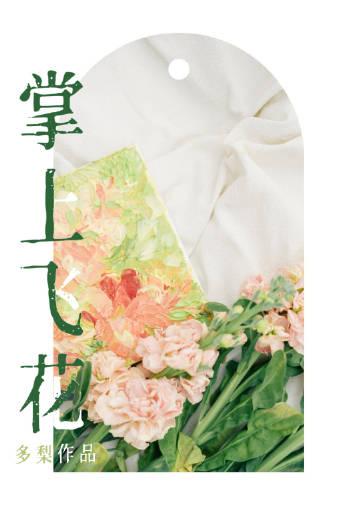 掌上飞花全文免费阅读未删减