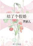 结了个假婚TXT百度资源链接