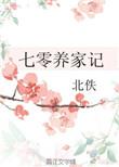 七零养家记txt
