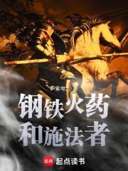 钢铁火药和施法者epub
