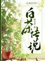 白茶传成