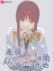 从龙族开始的穿越日常