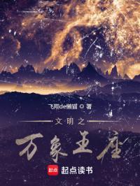文明之万象王座txt盘