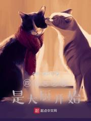 四合院之我是大厨开始免费