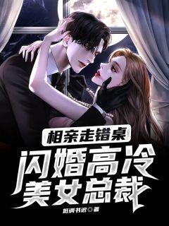 我的闪婚老公秦风
