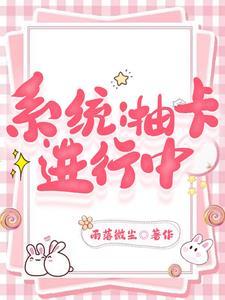 抽卡攻略系统