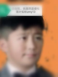 四合院我傻柱绝不接盘