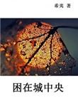 困在城中央希夷好看吗
