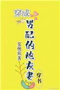 穿成男配的炮灰前妻穿书