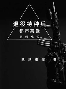 退伍特种兵攻