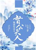 督军夫人讲什么
