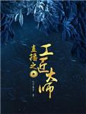 直播之工匠大师TXT