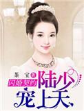 闪婚豪宠陆少的小妻子