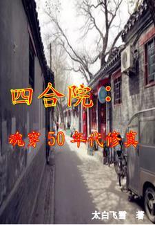 四合院网文