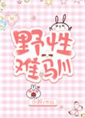 野性难驯潇潇北风索