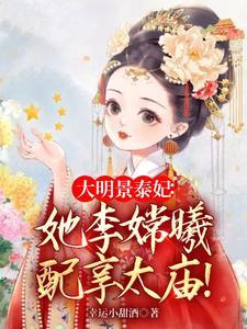 大明风华免费阅读