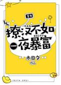 撩汉不如拿冠军26