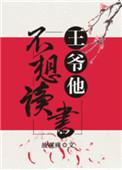 王爷不想娶亲(gl)——玉面小郎君