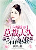 闪婚娇妻总裁大人请离婚第10集