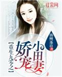 重生九零娇宠小田妻