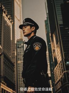 官道之sejie