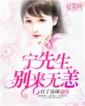 宁先生