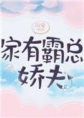 家有霸总娇夫(女尊)有声书