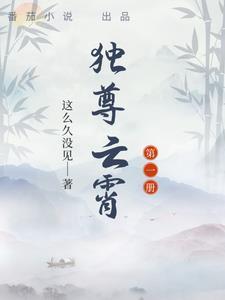 独尊苍穹简介
