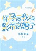 怀孕后我与影帝离婚了
