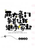 两大豪门争着让我继承家业逆天邪神
